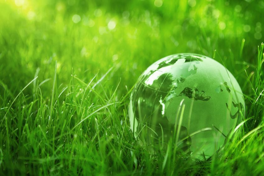 It’s Spring! 10 Tips to “Go Green”