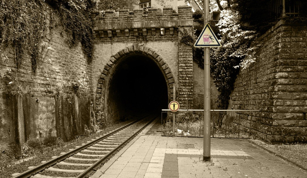 COVID-19: The Perpetual Tunnel